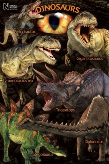 Dinosaurs Wall Poster