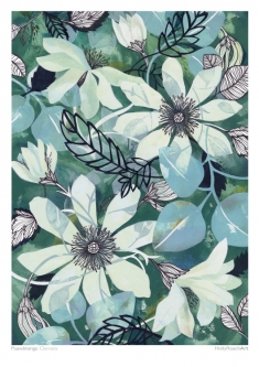 Clematis (Puawananga) by Holly Roach