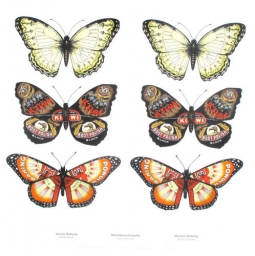 Lepidoptera Limited Edition Print by Philippa Bentley