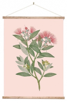 “Pohutukawa” Vintage NZ Botanical Canvas “Wall Chart”