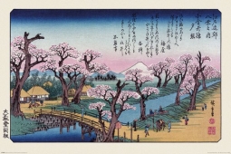 Mt Fuji from Koganei Bridge by Hiroshige