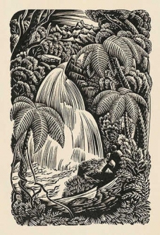 Waterfall by E. Mervyn Taylor