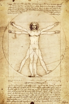 Vitruvian Man Wall Poster by Leonardo Da Vinci