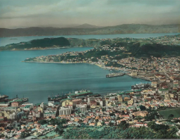 Handcoloured Photograph of Wellington by Whites Aviation