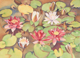 Print of Water lilies by Rita Angus