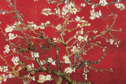 Van Gogh's Almond Blossom (Red) Wall Poster