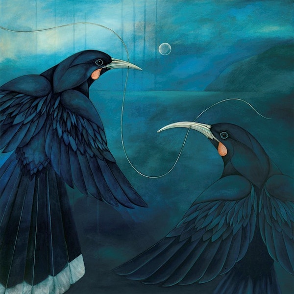 Print of Two Huia Birds - Together Forever by Kathryn Furniss