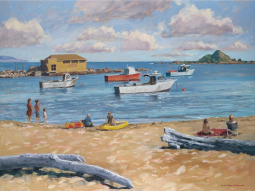 Island Bay, Wellington Ltd Edition Print by Bill MacCormick