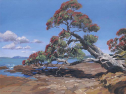 Pōhutukawa by Bill MacCormick