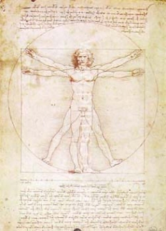 Study of Man by Leonardo Da Vinci
