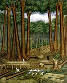 Kauri Forest by Charles Heaphy