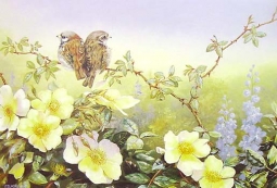 Mermaid Rose & House Sparrows by Jeanette Blackburn
