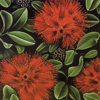 Pohutukawa Stickers for Sale | Redbubble