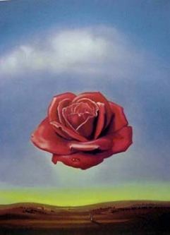Meditative Rose 1958 by Salvador Dali