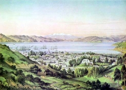 Wellington Harbour by C.D. Barraud