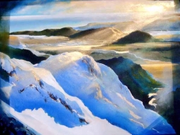 From Mount Cook towards the West Coast by Harold Coop
