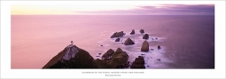 Guardian of the Coast Nugget Point New Zealand by Richard Hume
