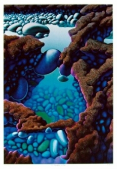 Michael Smither Print "3 Rock Pools and Lava Flow"