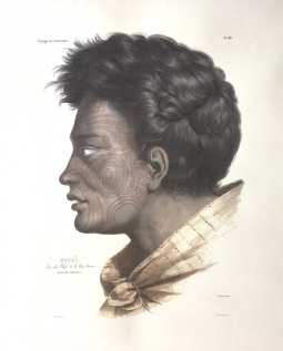 Maori Chief - Natai by Louis Auguste de Sainson