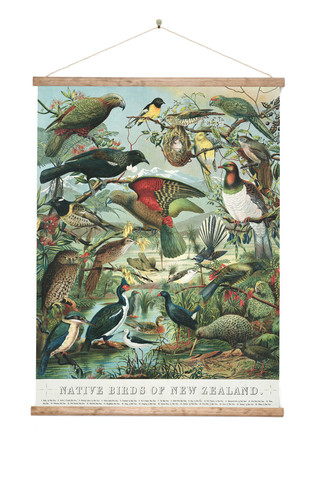 Native Birds Of Nz Canvas Art Print Ready To Hang New Zealand Fine Prints