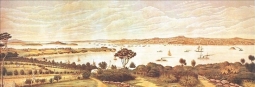Auckland Panorama 1892