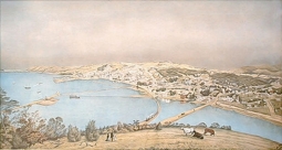 Dunedin 1883 by Christopher Aubrey