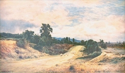 On the road to Peel Forest by William Gibb