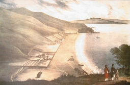Missionary Settlement, Bay of Islands by Louis Auguste de Sainson