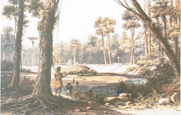 Native Village and Cowdie Forest by Augustus Earle