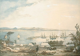 View of Nelson Haven in Tasman's Gulf by Charles Heaphy