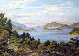 Port Chalmers by C.D. Barraud