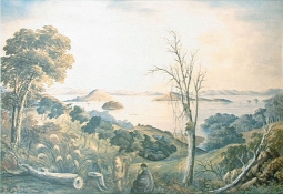 Bay of Islands by J.C. Hoyte