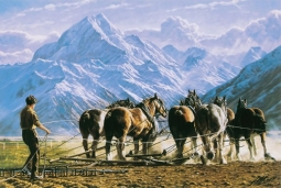 Clydesdales, Mt Cook by Peter Morath