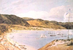 Thorndon Flat and the City of Wellington by Charles Heaphy