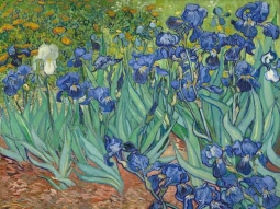 Iris Poster by Vincent Van Gogh